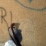 graffitim5 graffitim5