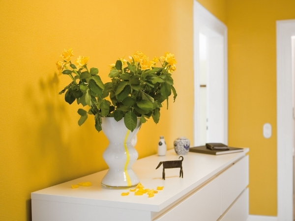 Optil ile Temiz Yüzeyler