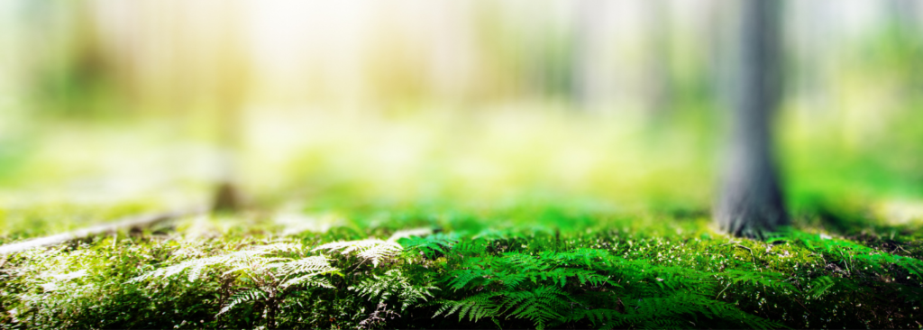 Ecotera, Ekolojik Yüzey Koruma Sistemleri